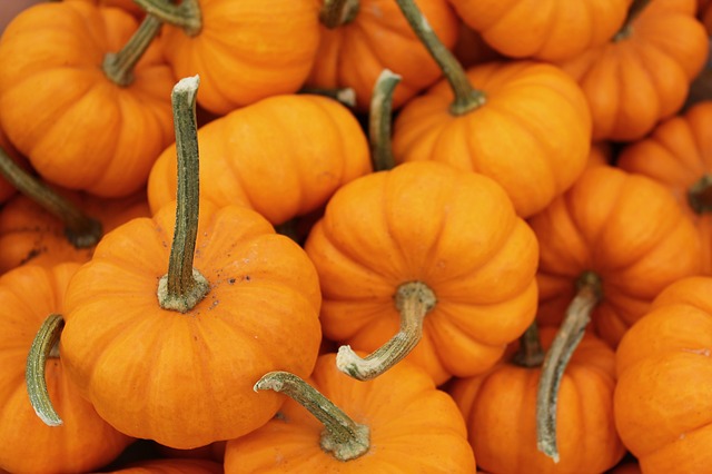 pumpkin for skin