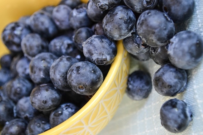 summer-blueberries-stephanie-herington-large